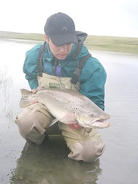 User submitted picture: hello, sorry by my englis...