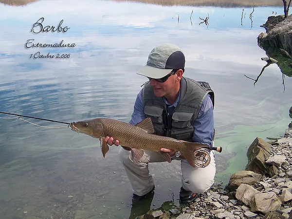 User submitted picture: After the appearance of t...