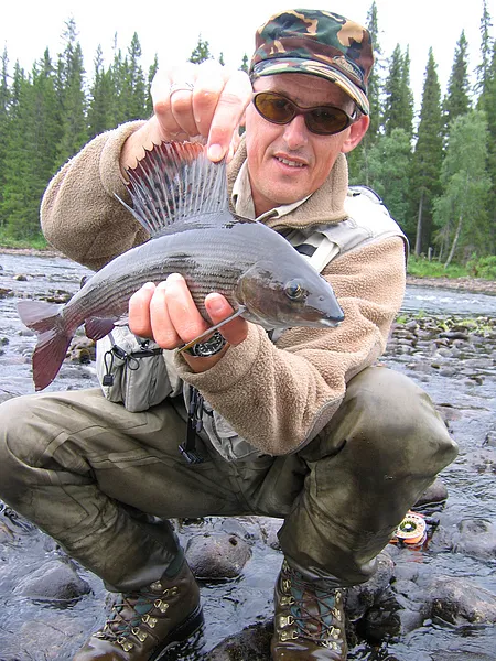 User submitted picture: Black grayling by guidepe...