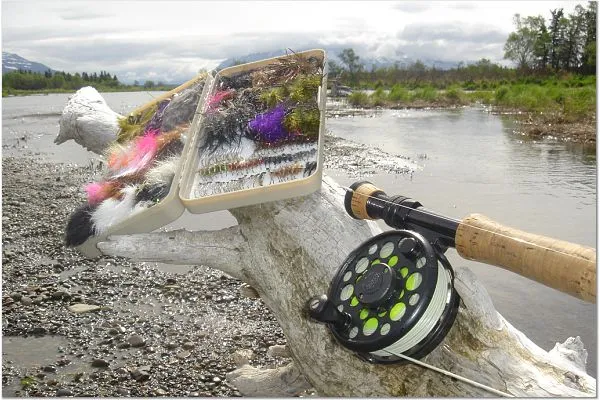 User submitted picture: A classic selection of Al...